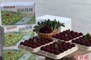 梦见下雪高速赋能产业升级：一条“杨梅路”的致富密码