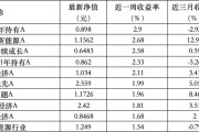 梦见下雪6只上榜基金收跌，ESG主题产品平均收益率不及泛ESG主题一半