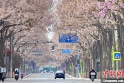 梦见下雪共建“花园城市” 北京这场议政会“百花齐放”