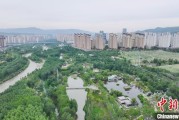 梦见下雪西宁市举办六五环境日主题宣传活动